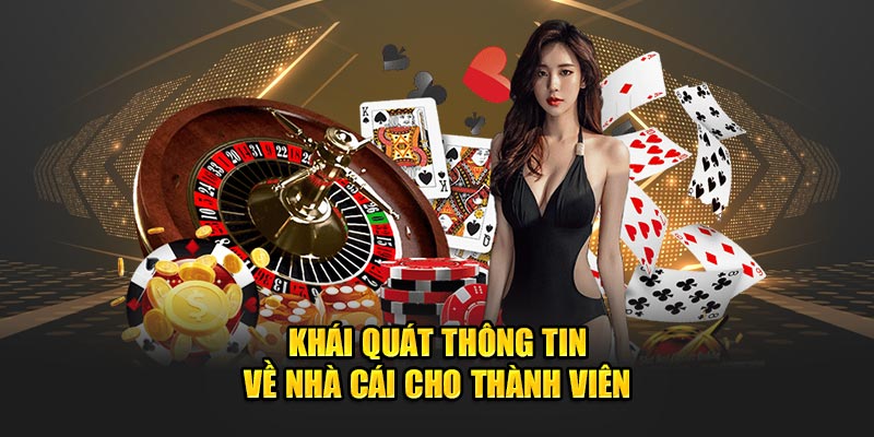 Khái quát thông tin về nhà cái 79King9 cho thành viên